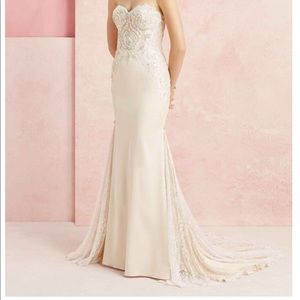 Stunning Wedding Dress,Veil from Casablanca Bridal